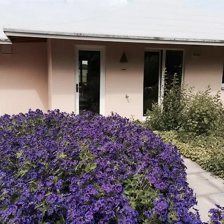 Oase Friedensthal Appartement Friedenstal Kamer foto