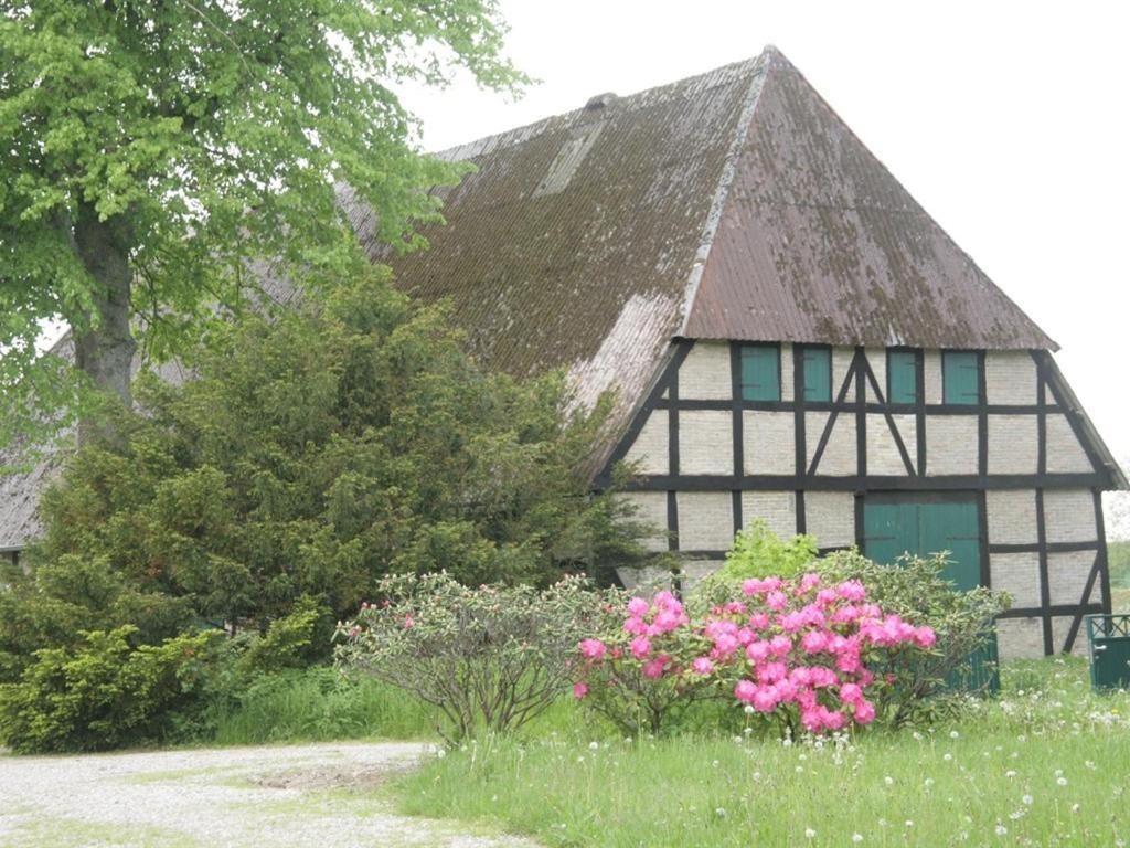 Oase Friedensthal Apartment Friedenstal
