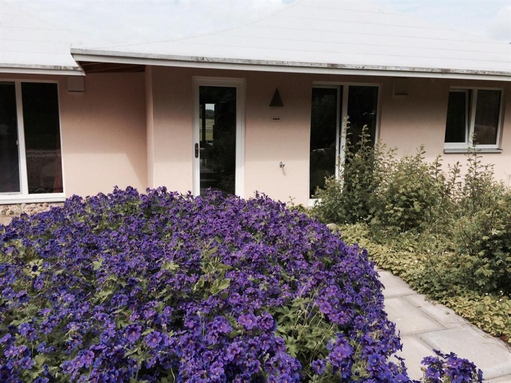 Apartment Oase Friedensthal Friedenstal